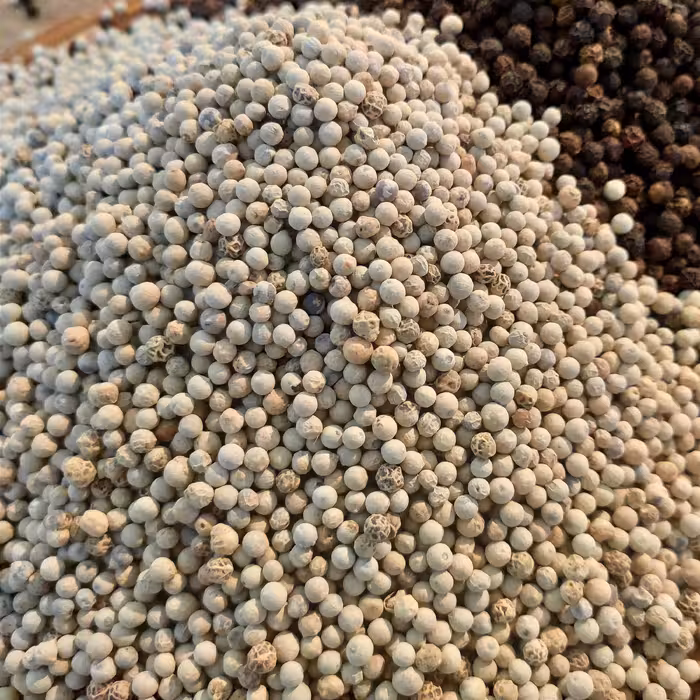 فلفل سفید اعلا تیارمزه ، ویتنامی ، تمیز و سورت شده 