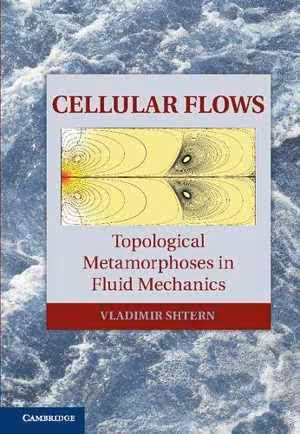 [PDF] دانلود کتاب Cellular Flows - Topological Metamorphoses In Fluid Mechanics, 2018
