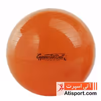 توپ لدراگوما Gymnastic Ball 53cm