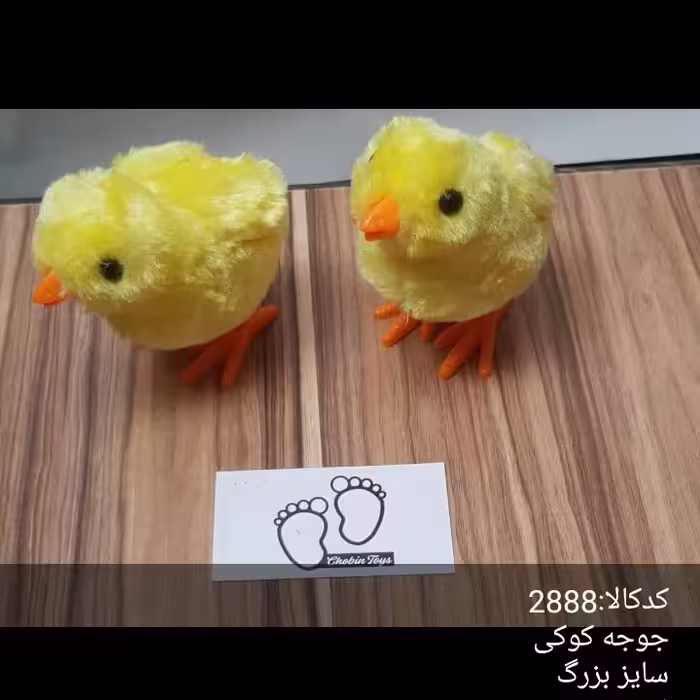جوجه  کوکی تکی سایز بزرگ