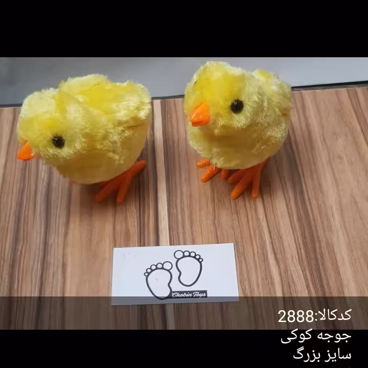 جوجه  کوکی تکی سایز بزرگ