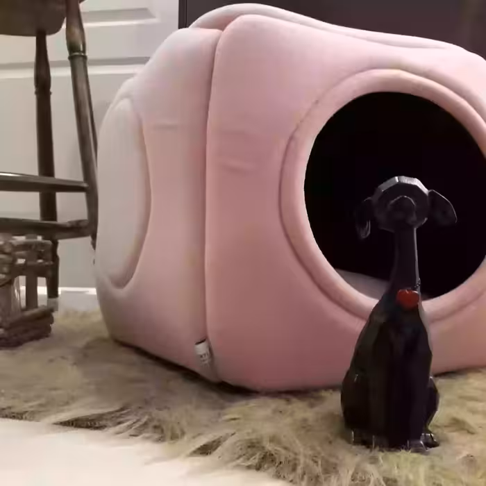 لانه و جای خواب گربه