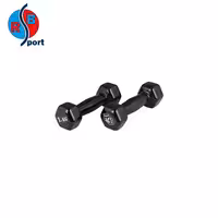 دمبل ایروبیک وزن 1 کیلوگرمی بسته 2 عددی