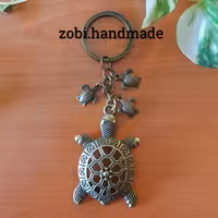 جاکلیدی خانواده آقای لاکپشت