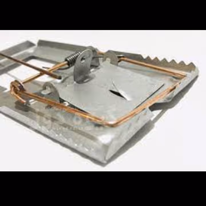 تله موش فلزی...