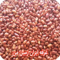 مغز بادام زمینی شور نیم کیلو گرم