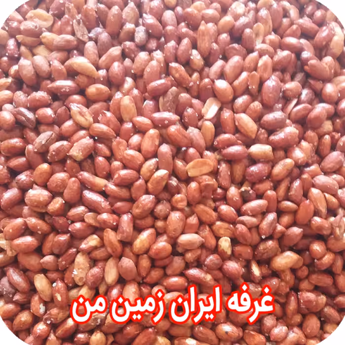 مغز بادام زمینی شور نیم کیلو گرم