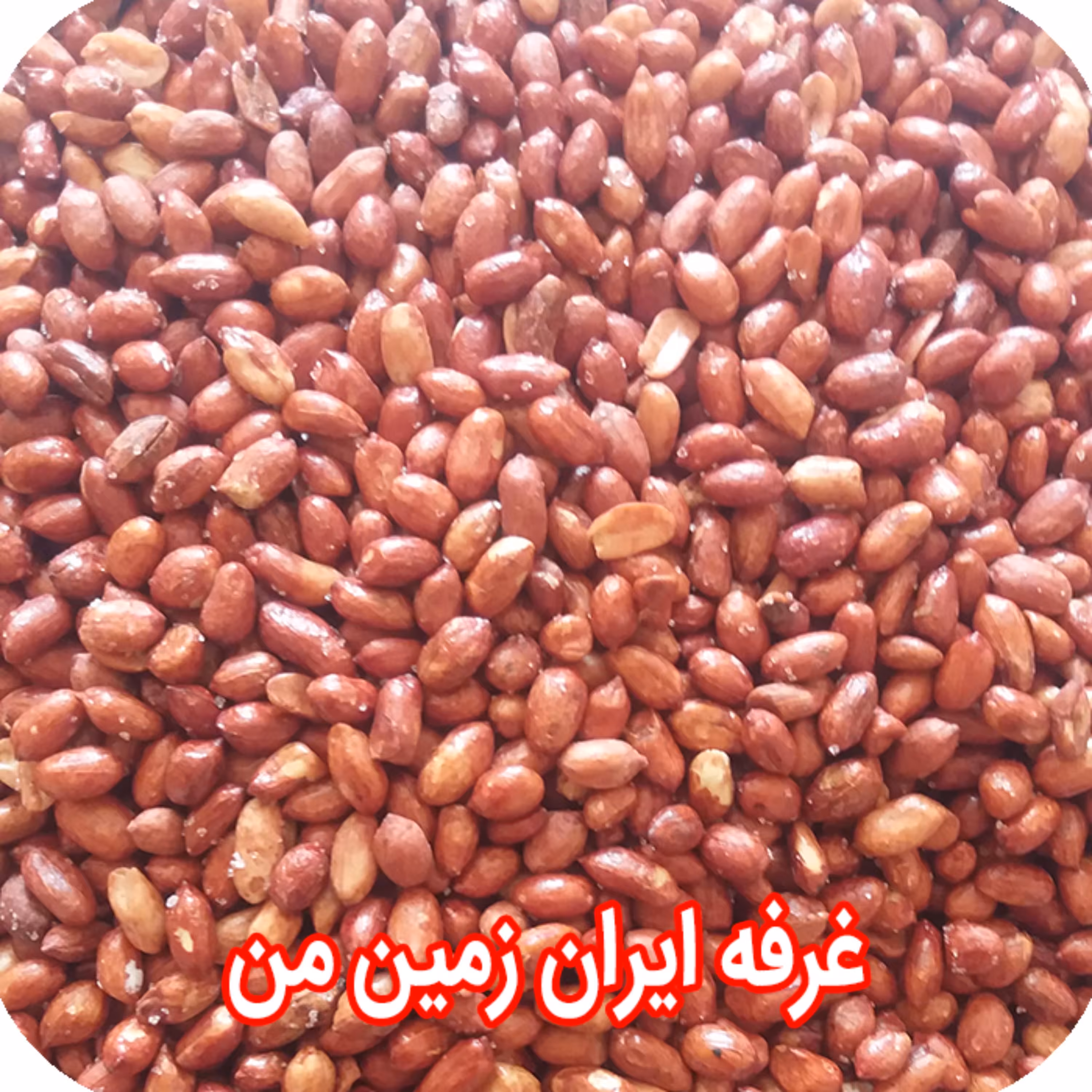 مغز بادام زمینی شور نیم کیلو گرم