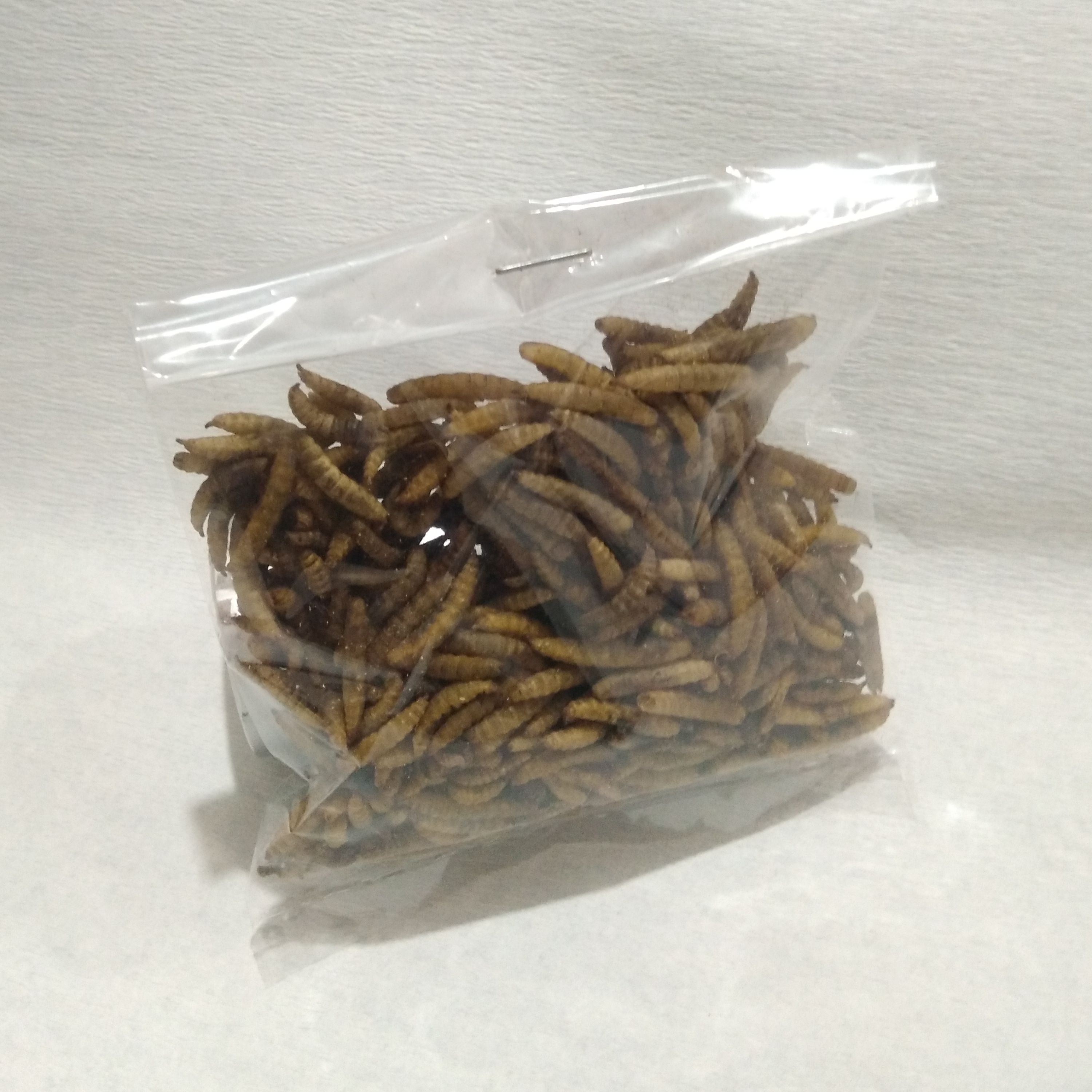 غذای ماهی آکواریوم (لارو خشک مگس سرباز سیاه) 250گرمی