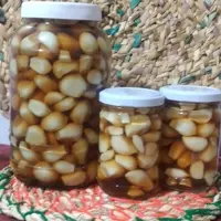 سیرترشی بدون پوست مرواریدی یک کیلویی گیلان.رشت