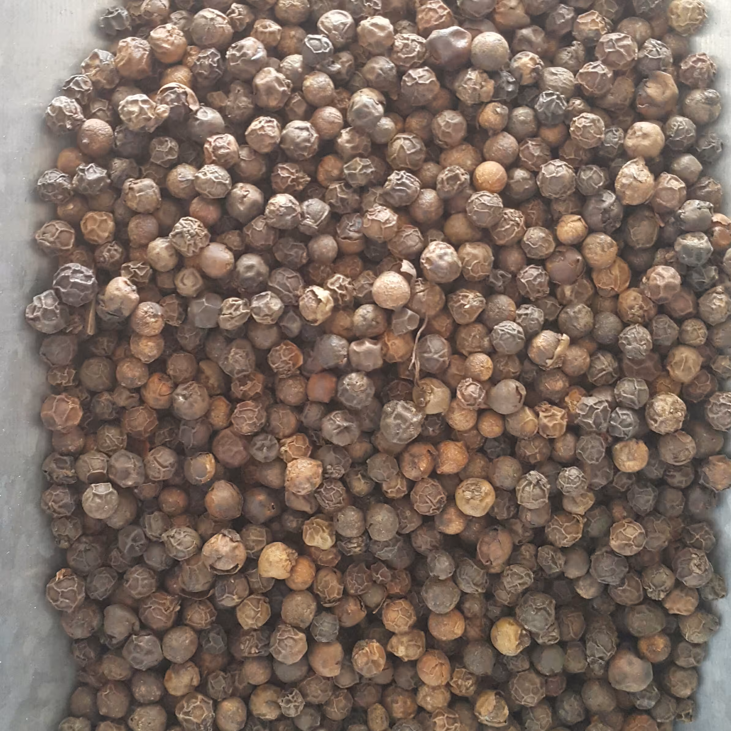 فلفل سیاه دانه درشت اعلا بهترین کیفیت، عمده و خرده