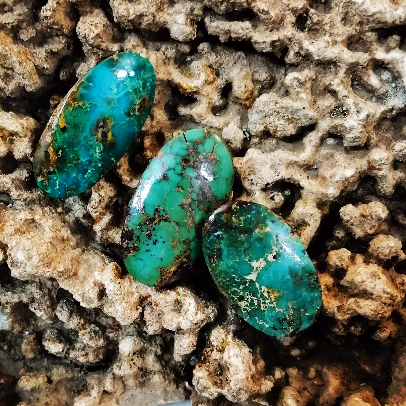 فیروزه نشابوری اصل طبیعی حسینی