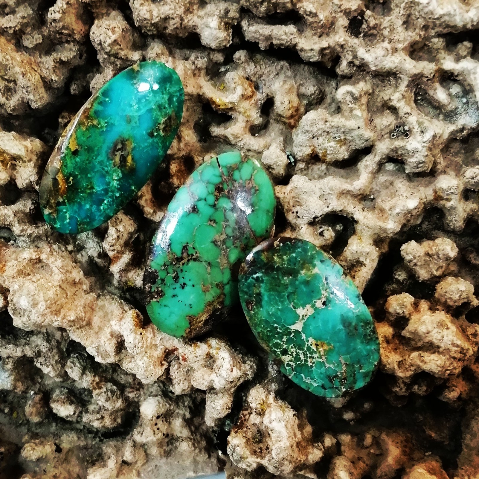 فیروزه نشابوری اصل طبیعی حسینی