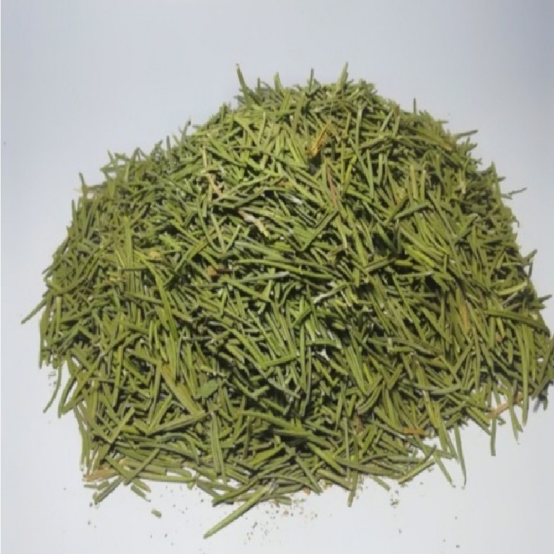 گیاه رزمازی محرک گردش خون و معده( 75گرمی) عطاری اصیل