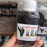 پک 6 عددی سانسوریا کود