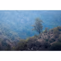 تابلو شاسی کد benpics-0014 (ابعاد 70x50 - شاسی 8 میل-کاغذ سیلک-اصالت تصویر)