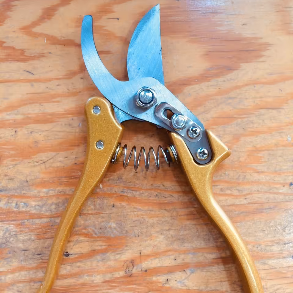 قیچی باغبانی JHP210 با تیغه sk5