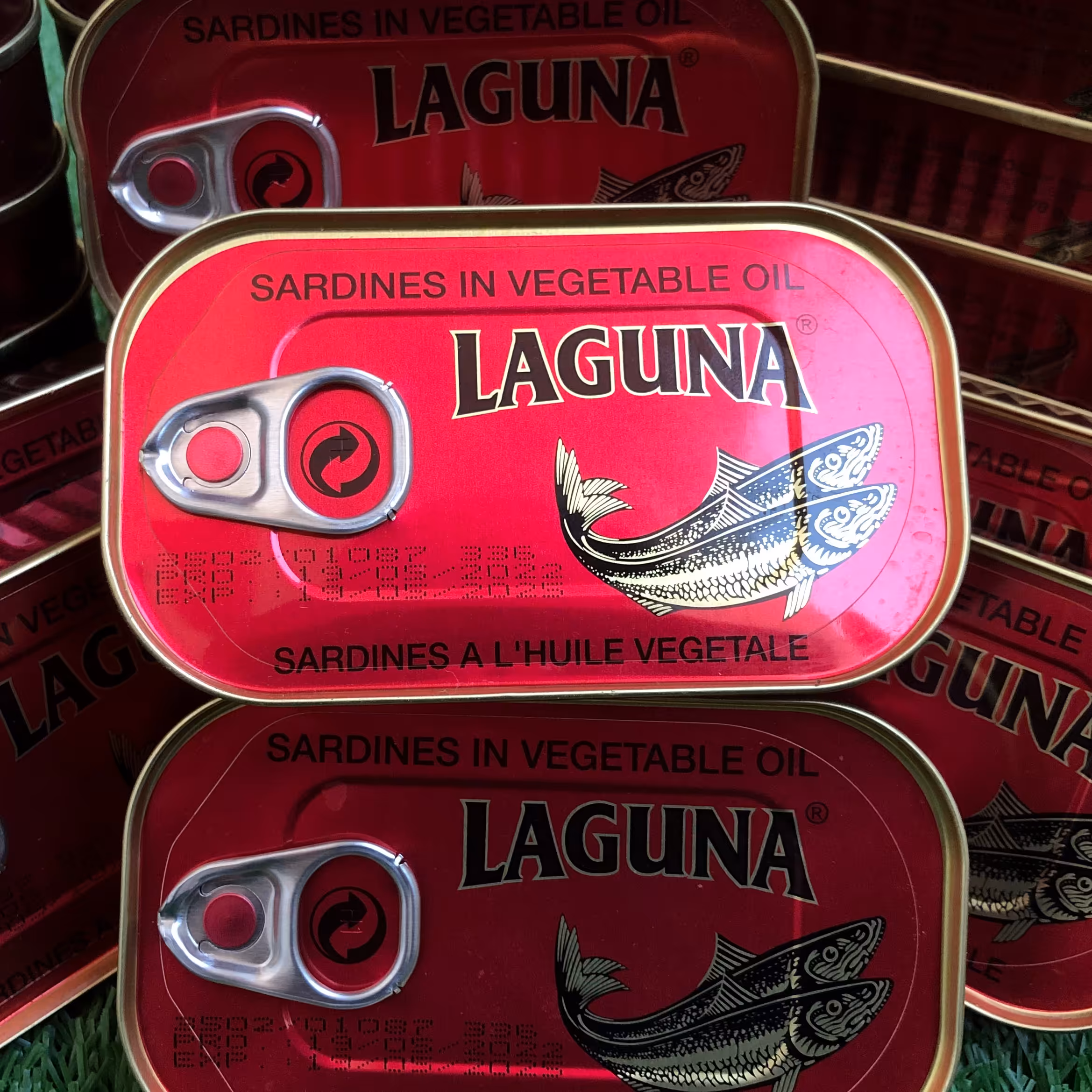 تن ماهی ساردین 