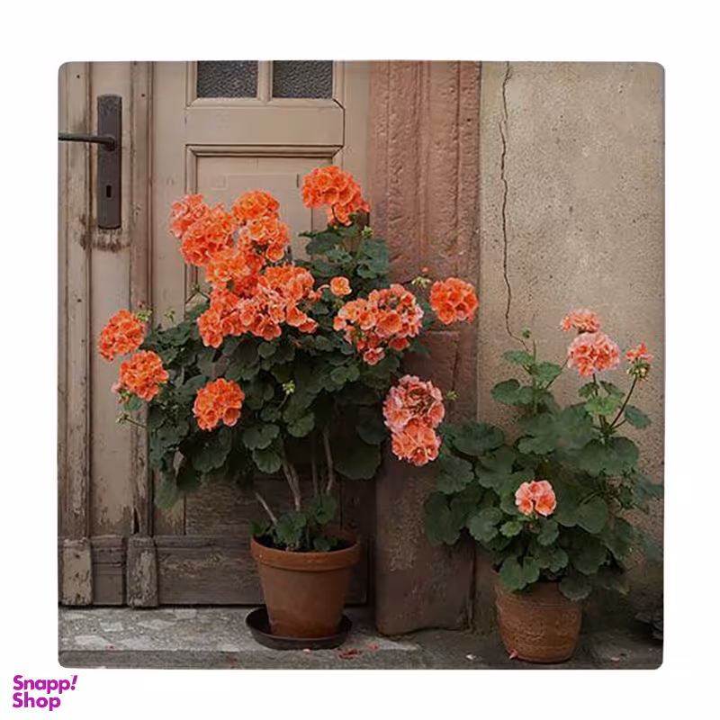 زیر لیوانی طرح گلدان های گل کد 5775172_4118