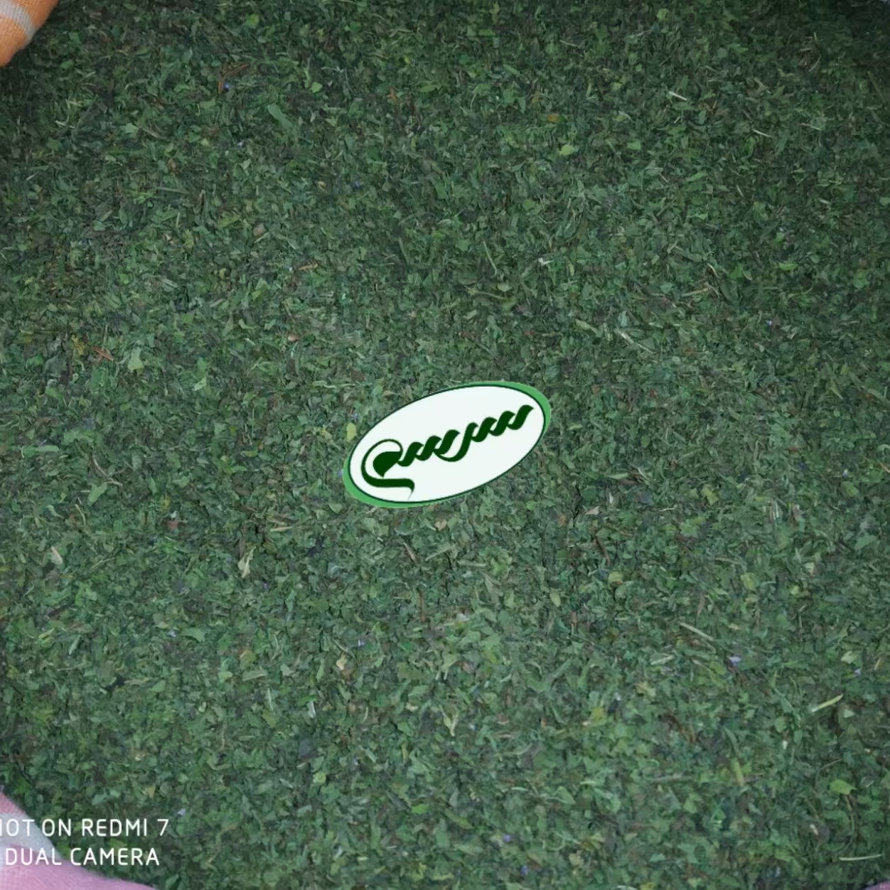 نعنا خشک محلی شمال 100 گرمی