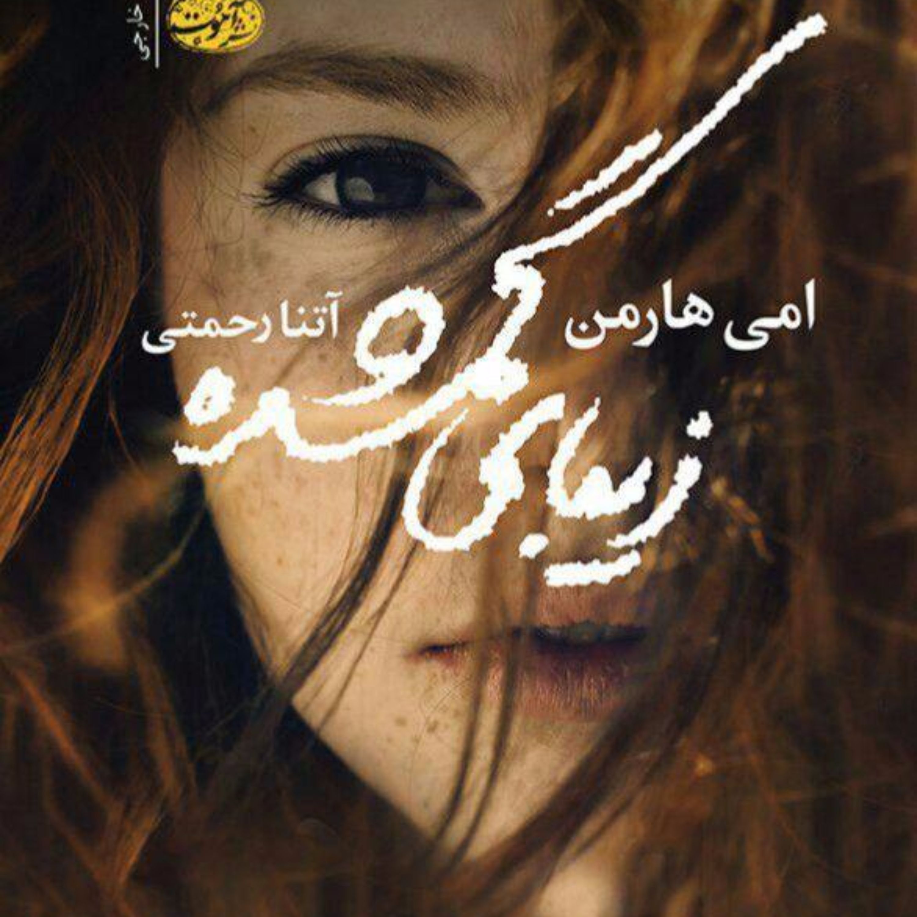 زیبای گمشده. ( اثر امی هارمن)