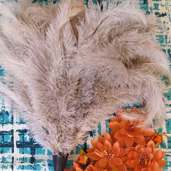 گردگــیر   دم روبـــاهــــــــی با پــر بلنـــــد و نــــرم