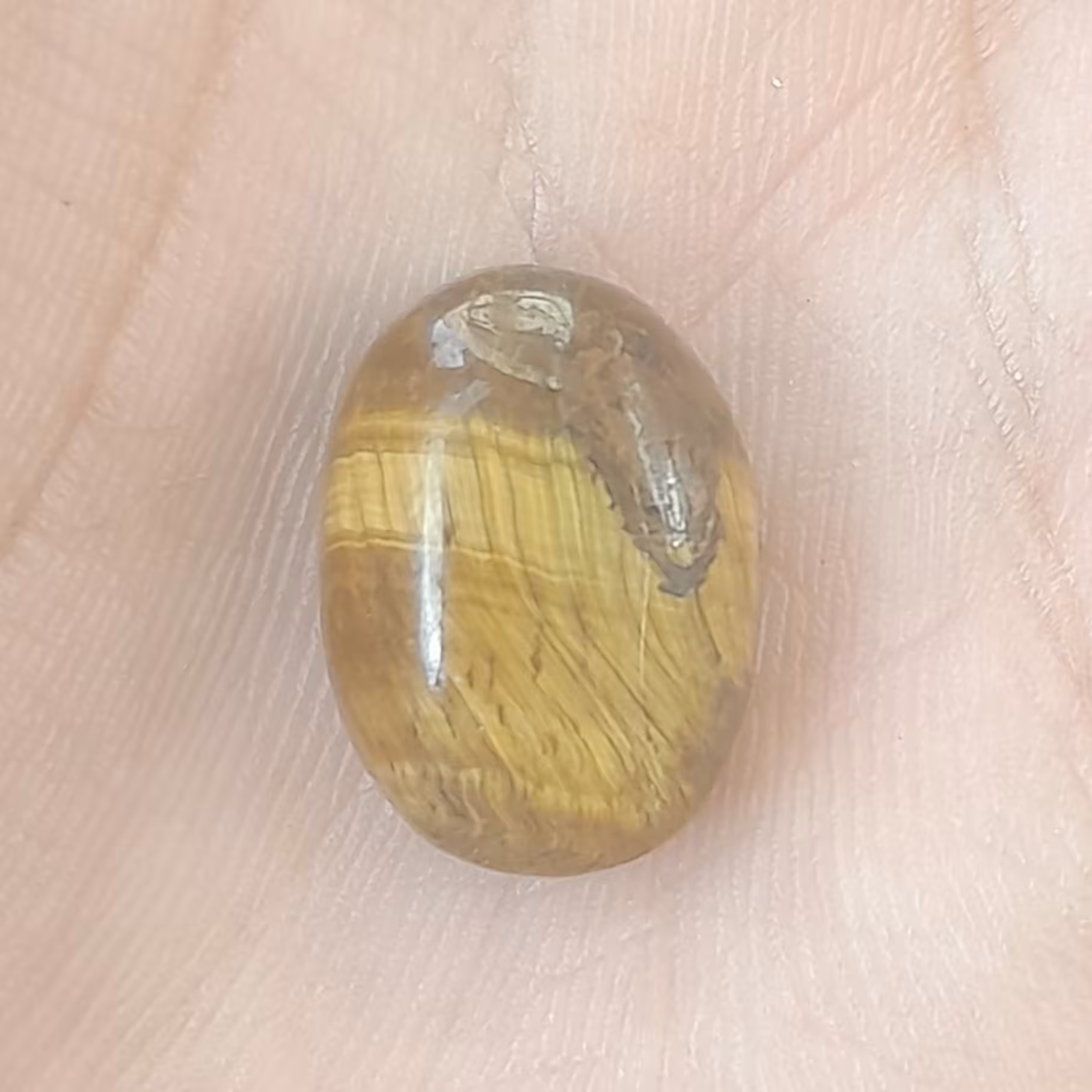  چشم ببر اصل کد 408