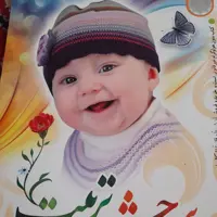 کتاب دانستنیهای قبل بارداری 