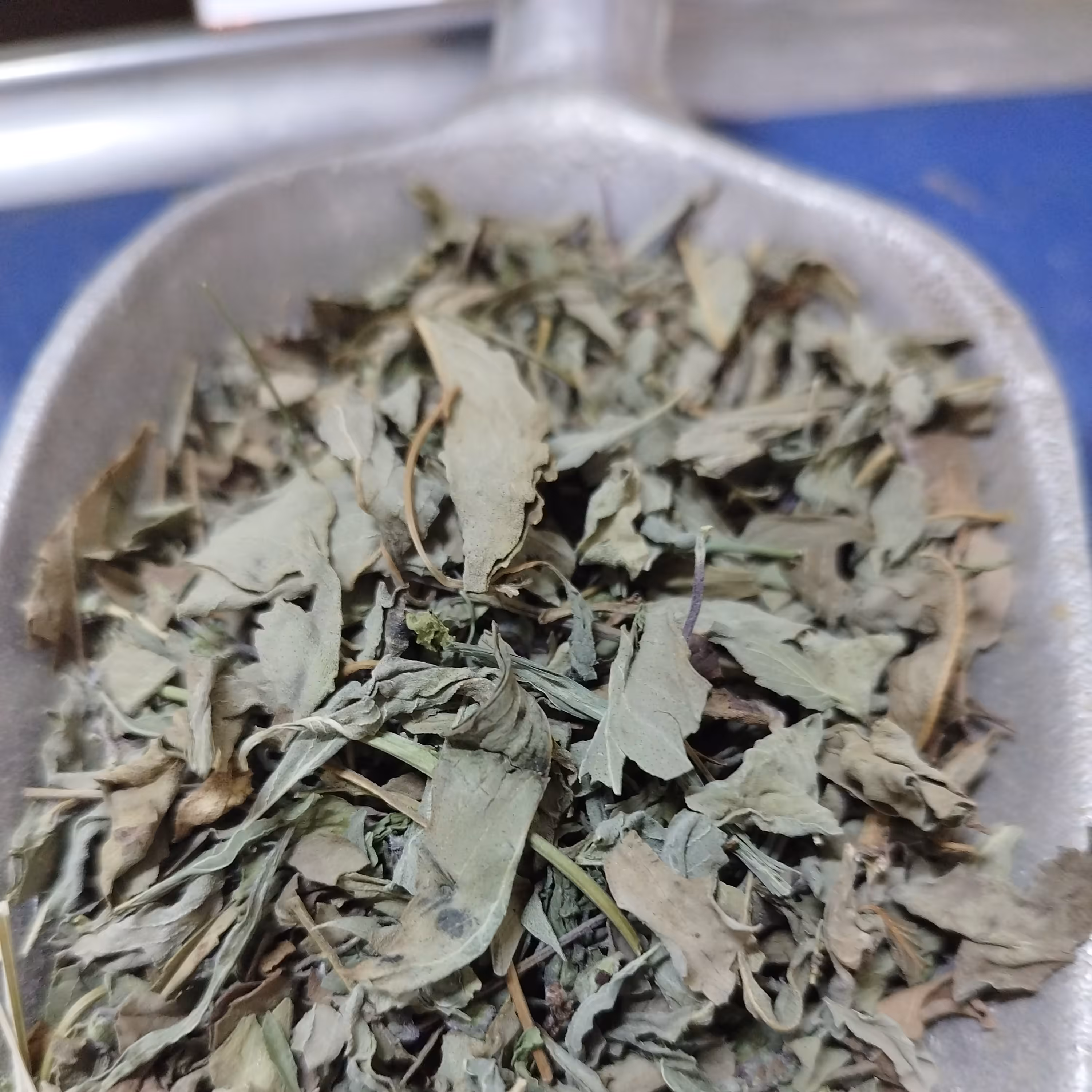 سبزی ریحون خشک (بدون خاک)