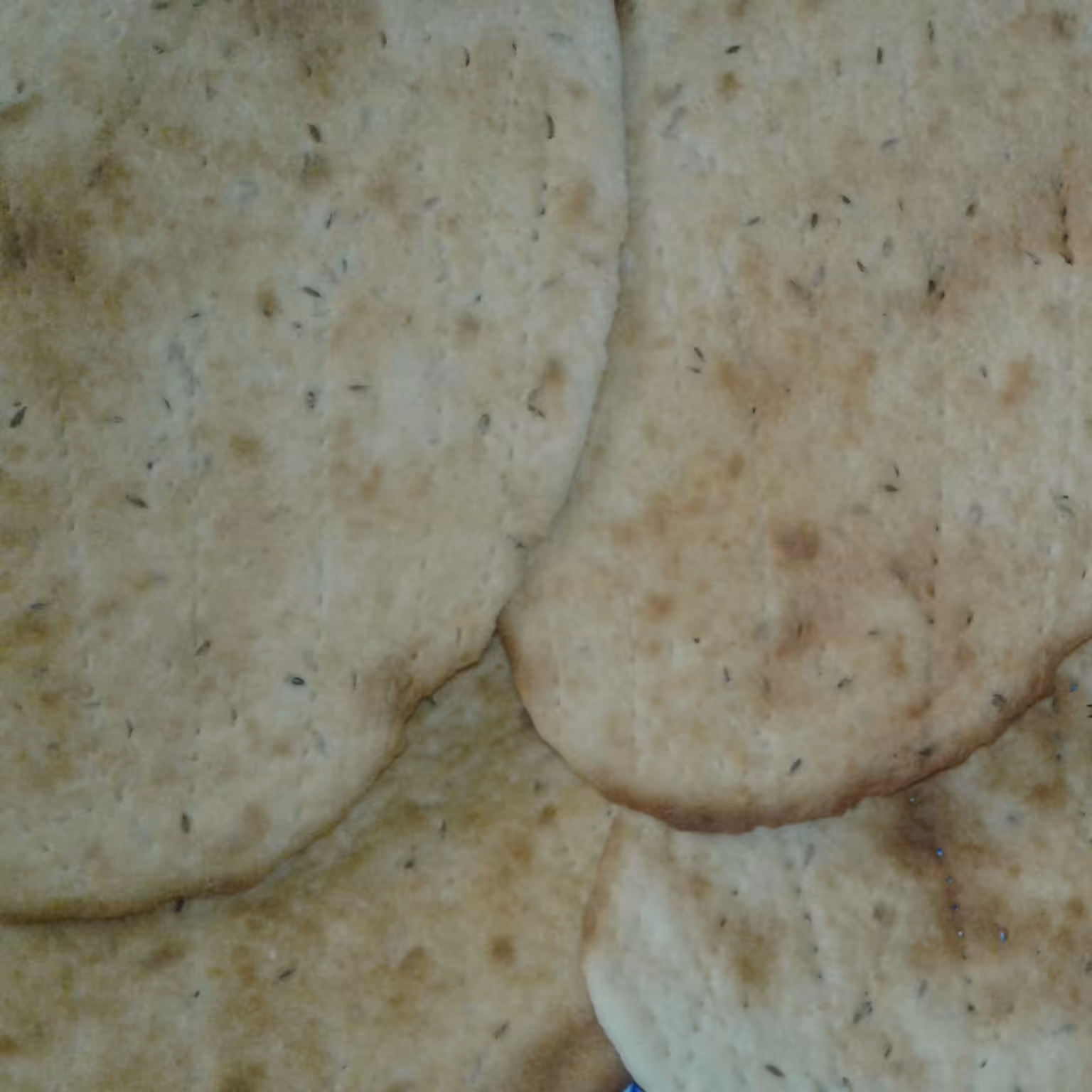 کلوچه نان شیر ی نازک ترد تازه در بسته های دو کیلویی