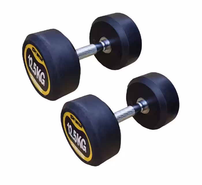 دمبل گرد 12.5 کیلویی بسته 2 عددی