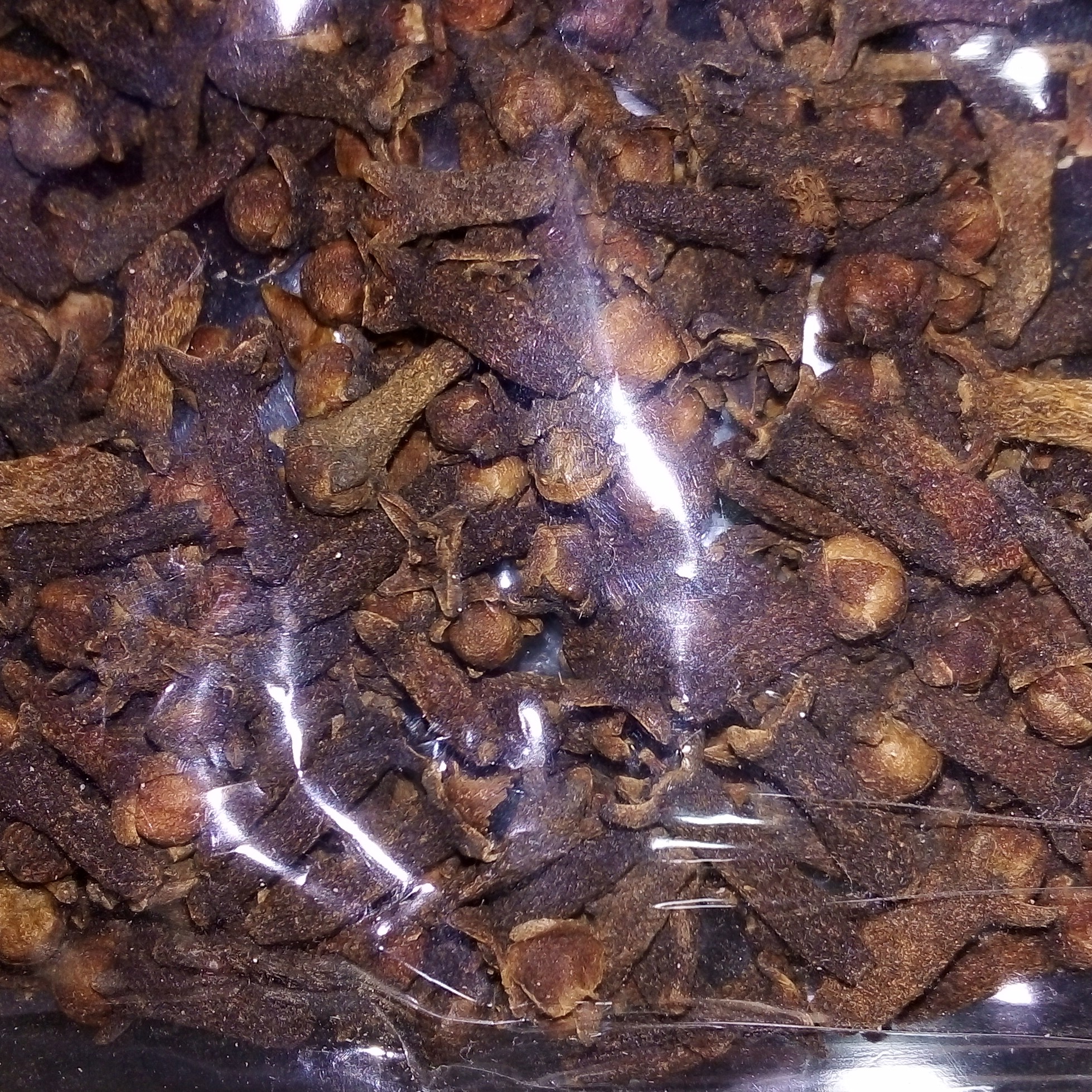 میخک درشت