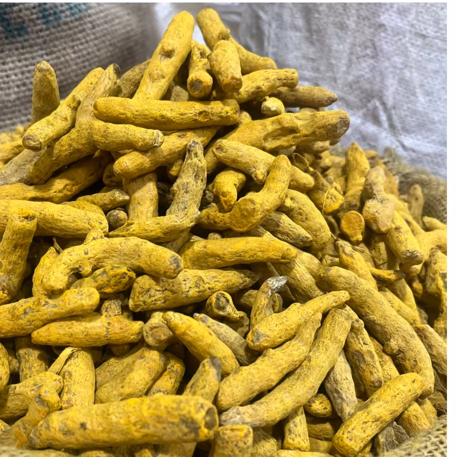 چوب زردچوبه قلم درجه یک 5 کیلویی