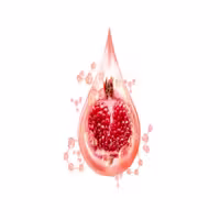 روغن هسته انار 20cc شبکه طب ( عمده و خرده )