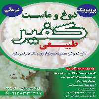ماست کفیر طبیعی قفقازی ساده و موسیر و سبزیجات 500گرمی 90000تومان