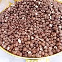 مغز فندق خام ایرانی(250گرمی)