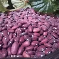 لوبیا قرمز اعلا(2 کیلو گرمی)ارسال رایگان