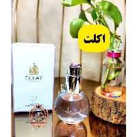 ادکلن اکلت سایز 25میل شرکت ان وی ادکلن زنانه مردانه (آرایشی تاج افشار )