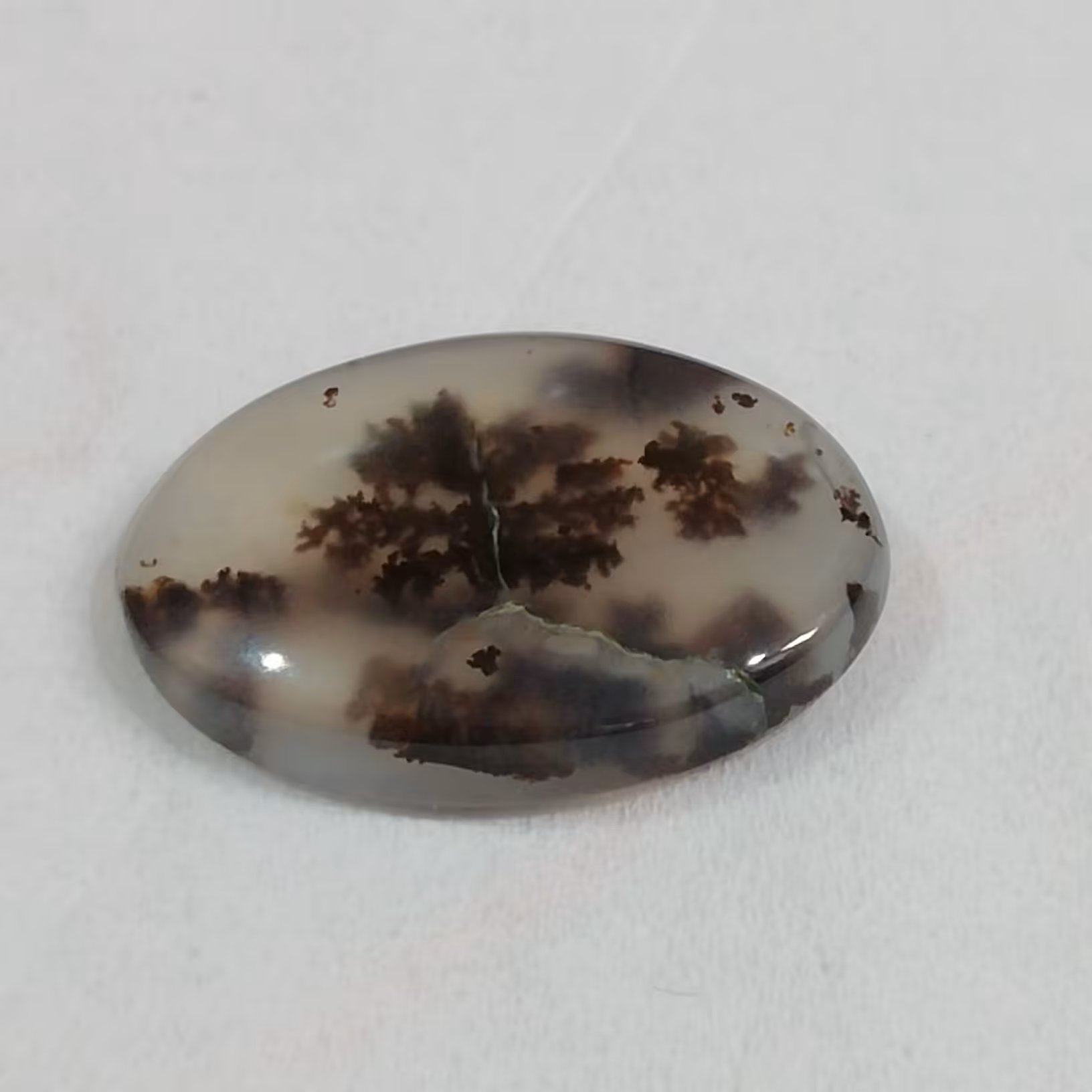 سنگ شجر زیبا