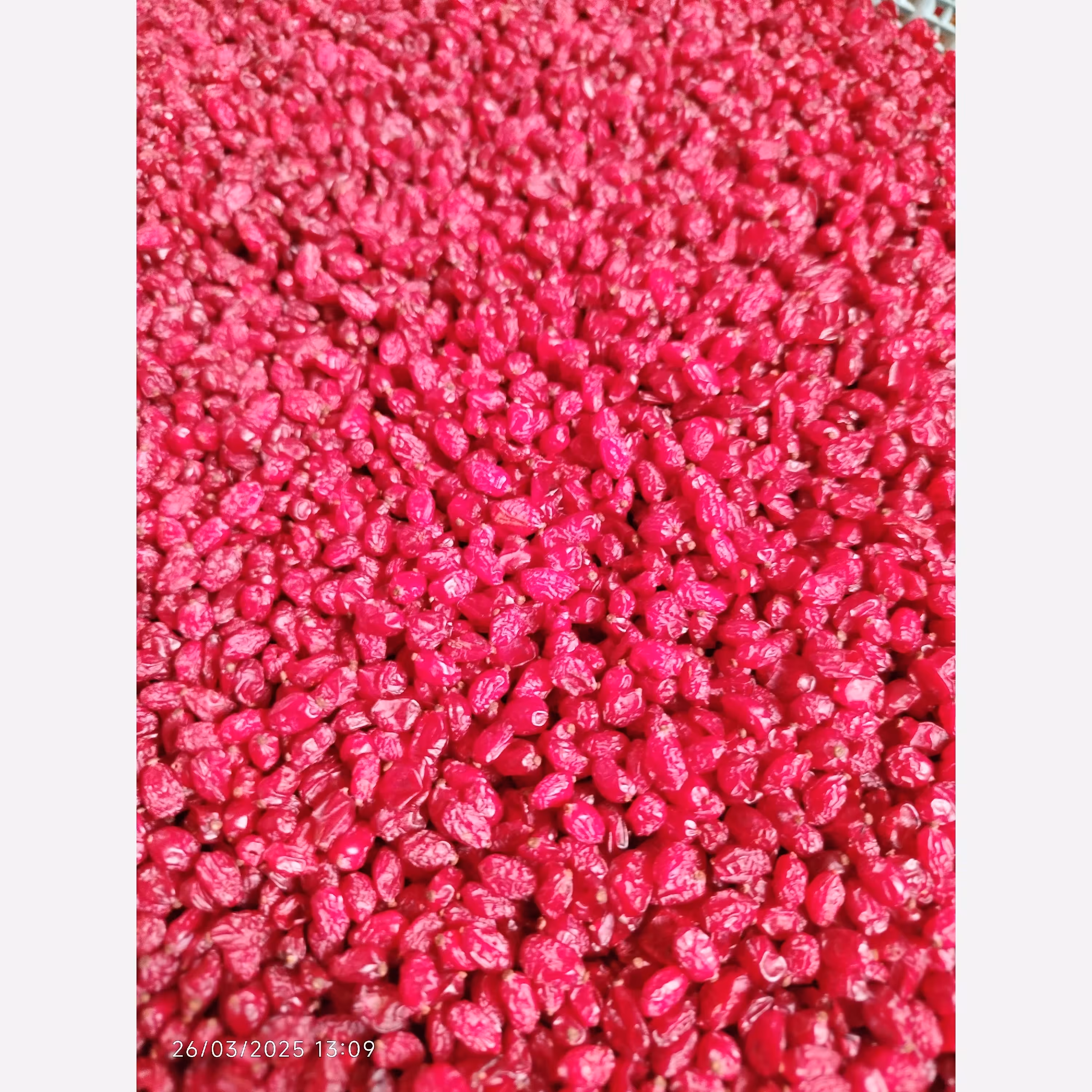 زرشک پفکی درجه یک بدون روغن و واسطه  