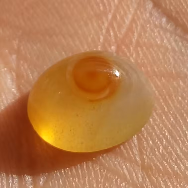 نگین معدنی عقیق باباقوری تک چشم محشر صد در صد طبیعی خااا ااص شااهکار خلقت
زیبا