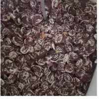 لوبیا عروس (نیم کیلویی ایرانی)