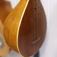 سه تار دومهر شاهو 