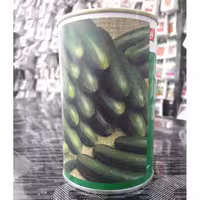 بذر خیار بیت آلفا ویکیما قوطی 100 گرمی