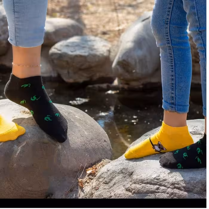 جوراب تابه تاطرح کوالا