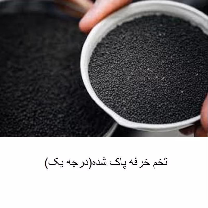 تخم خرفه 100 گرم (کاملا پاک شده و تمیز)