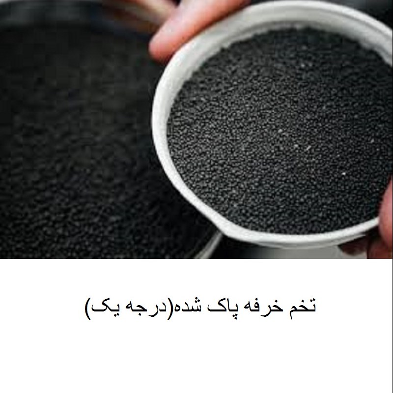 تخم خرفه 100 گرم (کاملا پاک شده و تمیز)