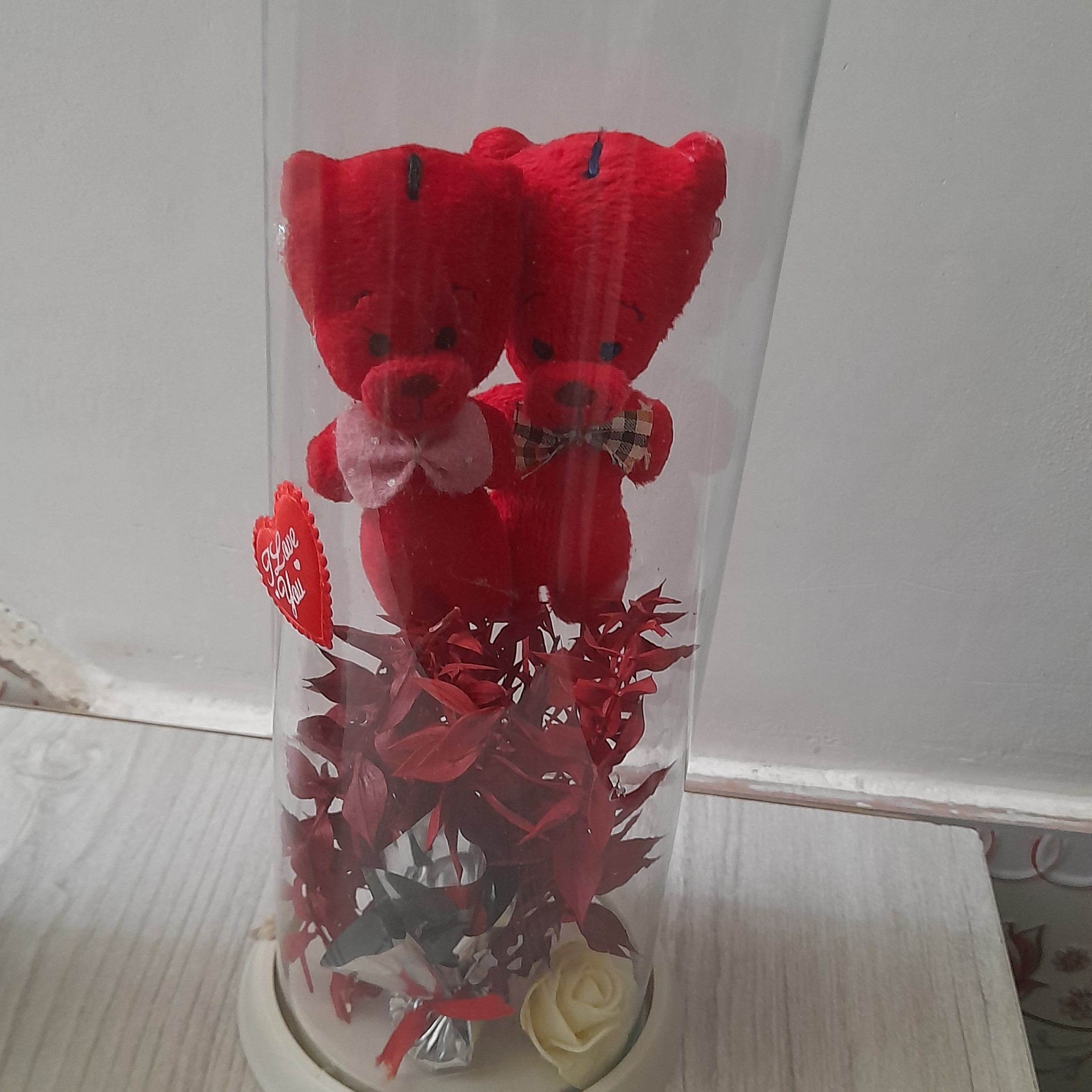 خرس در باکس شیشه ای 