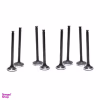 سوپاپ استیم کد 13205 مناسب برای پژو 405 بسته 8 عددی