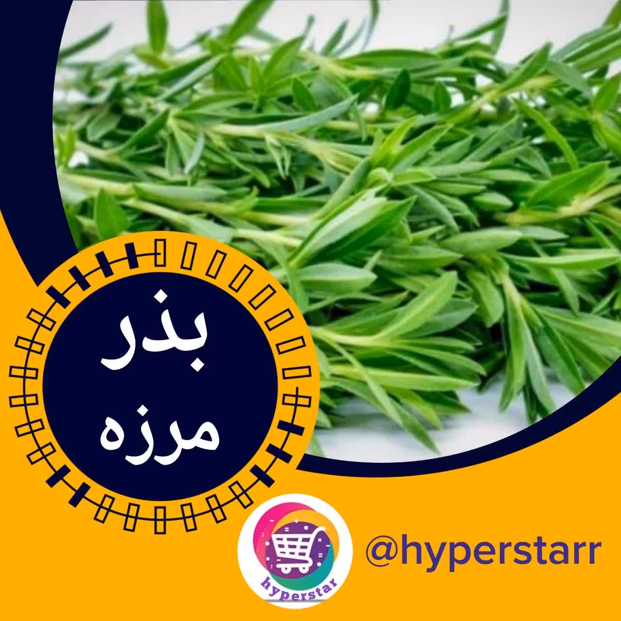 بذر مرزه 
